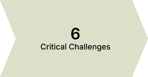 Critical Challenges